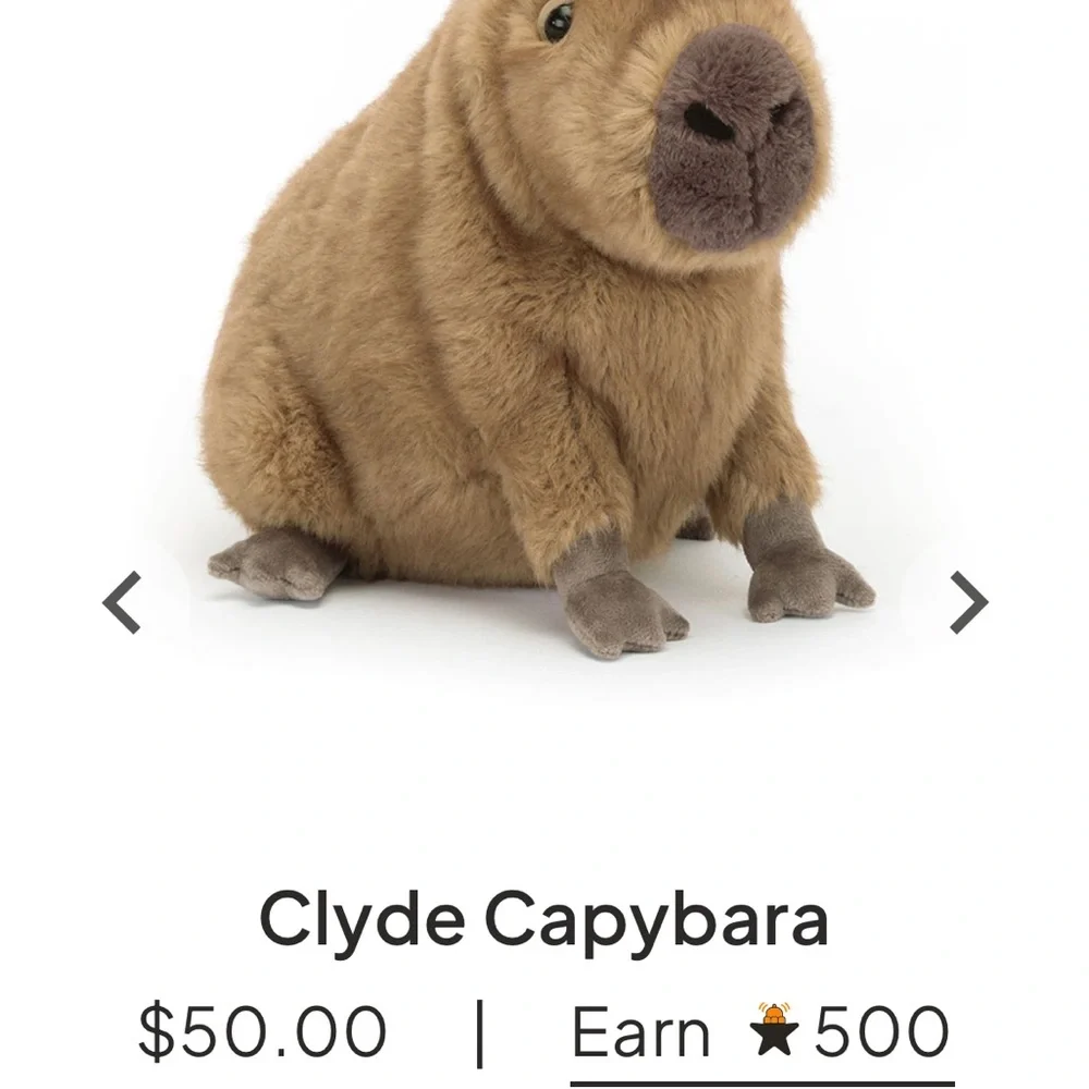 Jellycat clyde capybara (rare) - Picture 5 of 5